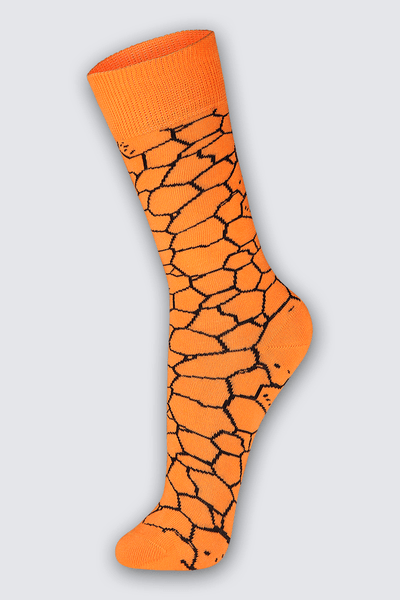16908-025;3340;3